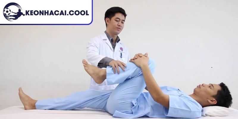 Hồi Sau Chấn Thương Đầu Gối, Kiến Thức Phục Hồi Cần Biết 2 Vật lý trị liệu và chức năng phục hồi sau chấn thương đầu gối