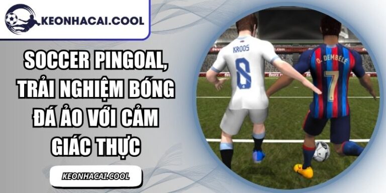Soccer Pingoal