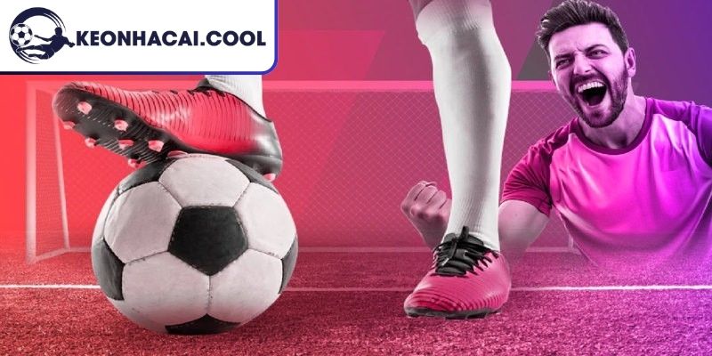 Soccer Pingoal Max, Bóng Đá Mô Phỏng Công Nghệ Hiện Đại 1 Thông tin cụ thể về Soccer Pingoal Max