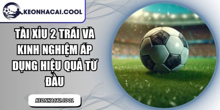 Tài Xỉu 2 Trái Và Kinh Nghiệm Áp Dụng Hiệu Quả Từ Đầu 5 Tài Xỉu 2 Trái