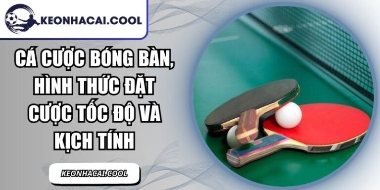 Cá Cược Bóng Bàn
