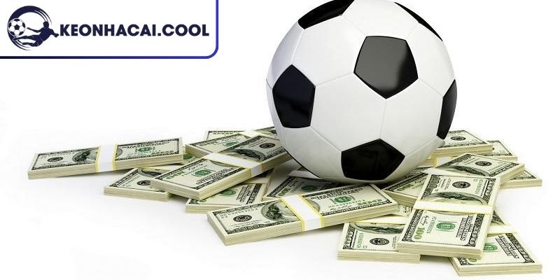 Cách Tính Tiền Cỏ Trong Cá Độ Bóng Đá Cập Nhật Năm 2026 3 Những lưu ý quan trọng