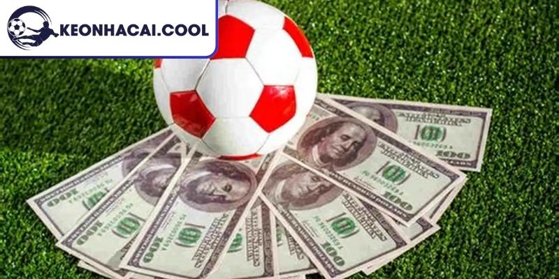 Lý do dạng cược được nhiều người thích
